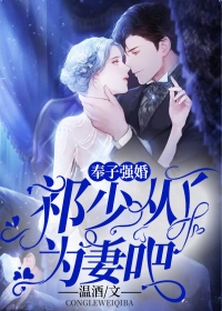 清夜无尘，爱恨无声结局+番外