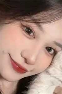 付寻月陆昭钰的小说寻月难觅两相隔免费阅读