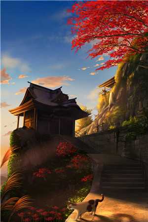 宁希霍燃写的小说此生不见希