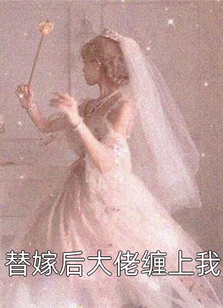 和我撞车的小奶狗是妻子小情人 番外