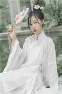 顾心 全集