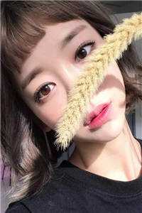 爸妈偏宠假千金，却不知我是华尔街天才投手沈芸豆豆结局+番外