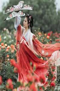 沅芷湘兰后续